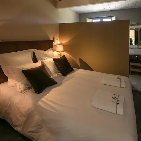 Chateau Des Cinq Cantons Guest house 4*